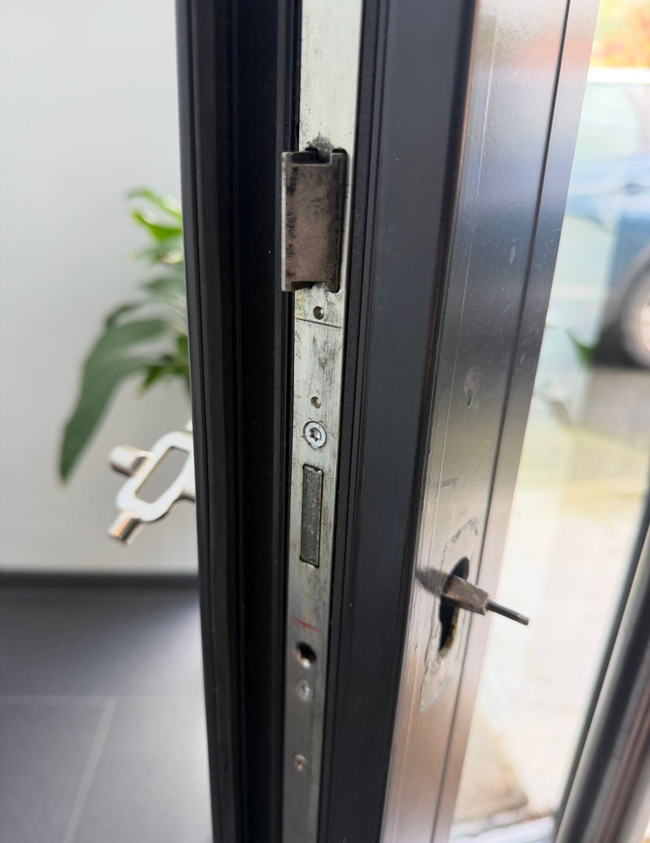 Door & Window Opening
