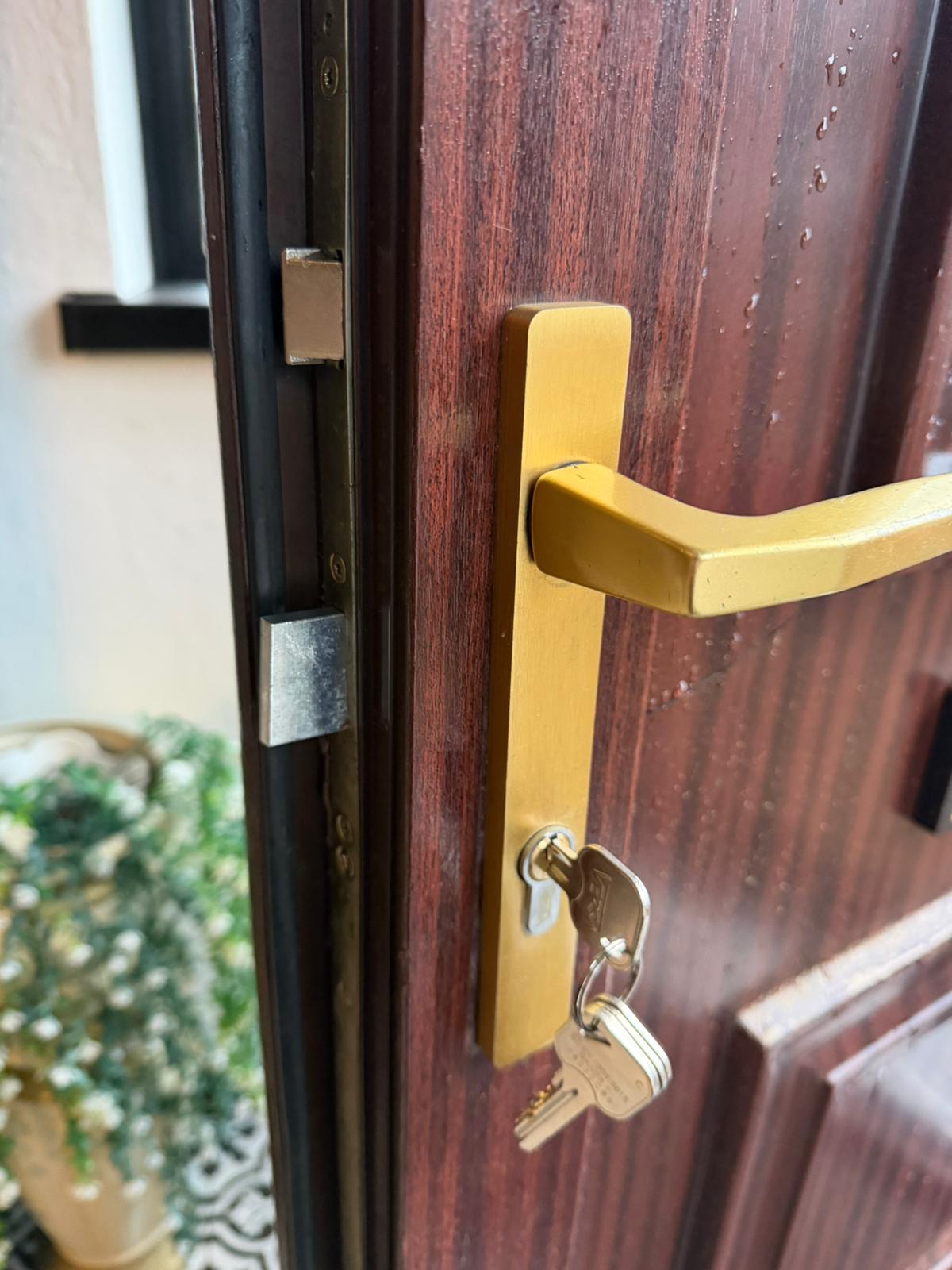 Professional locksmith services in Belfast - door lock with gold handle and keys